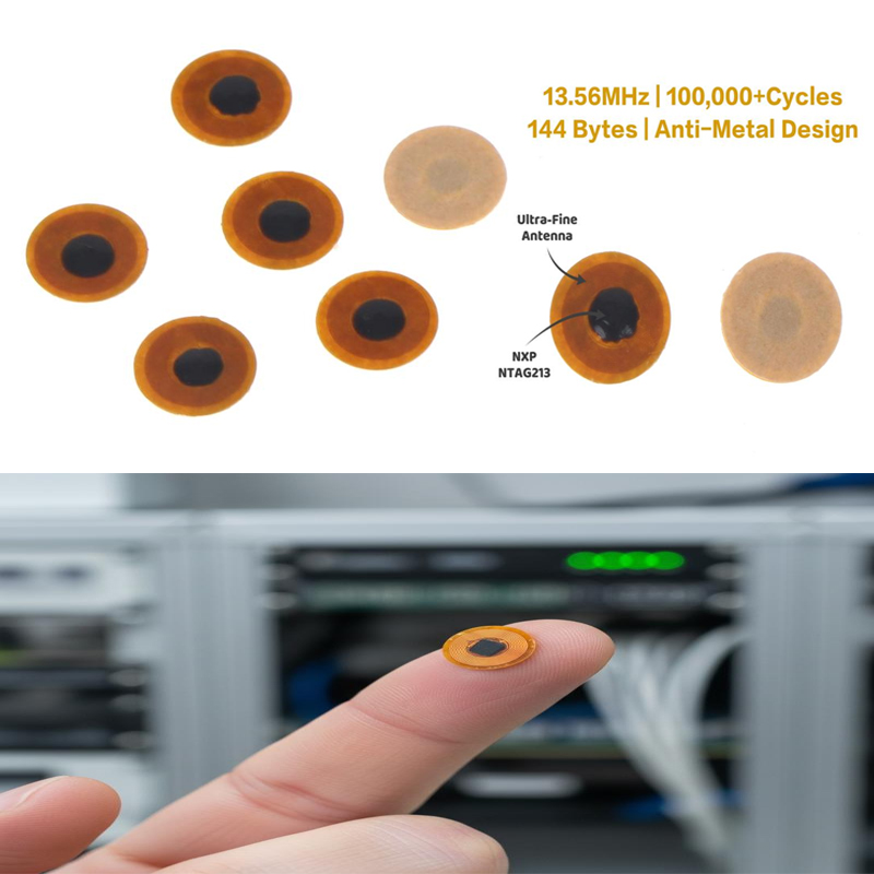 Nfc Tag Programmable - 5/10Pcs 6MM NXP NTAG213 NFC Tags