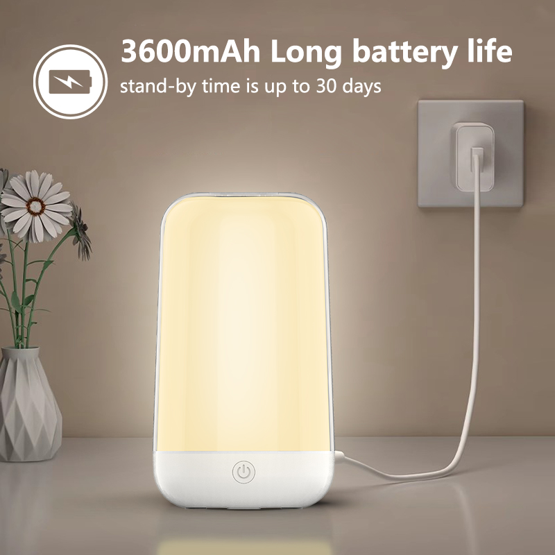 Smart Touch Bedside Table Lamp - Rgb Desk Lamp Smart のレビューと価格