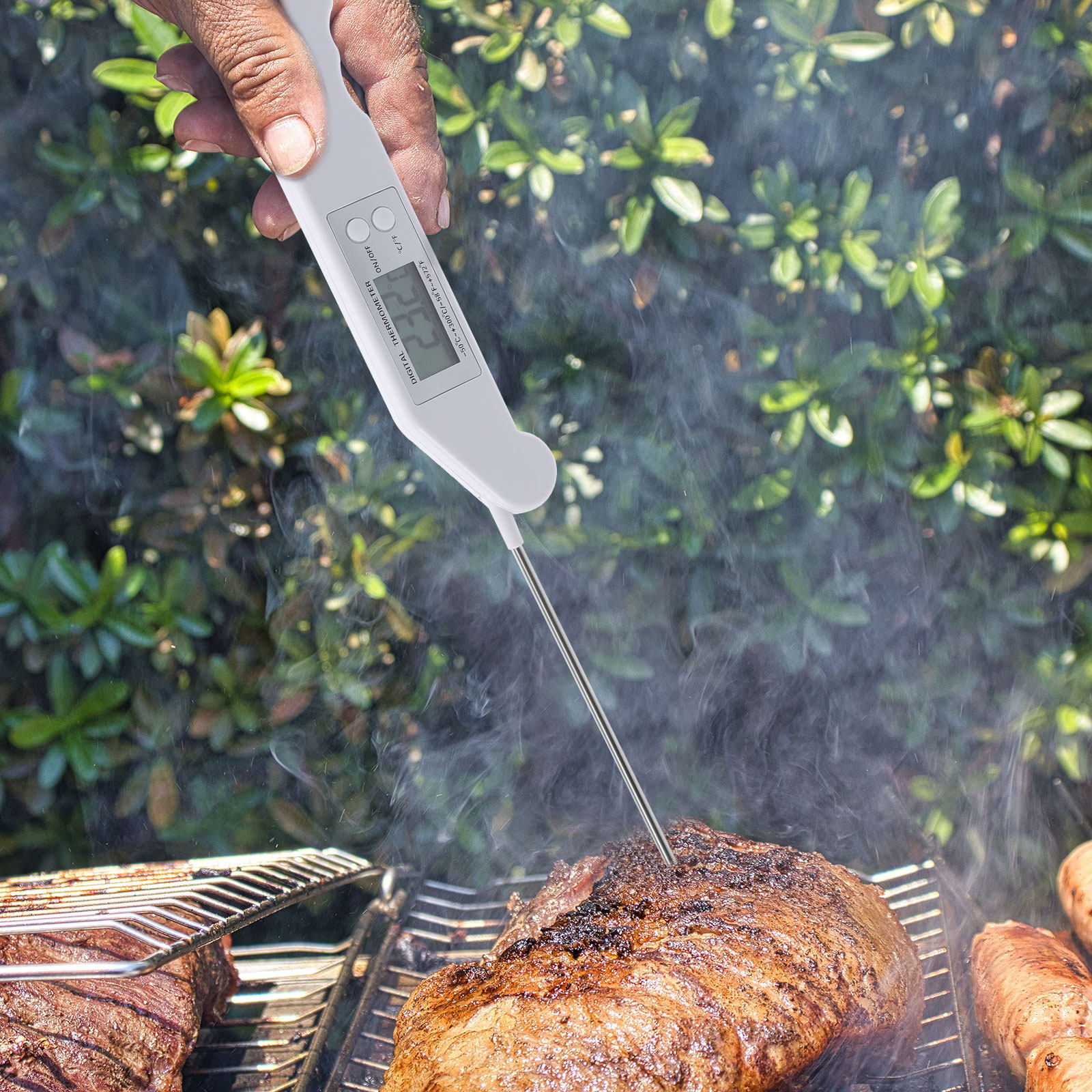 Folding Electronic Thermometer - Electronics And Gadgets のレビューと価格